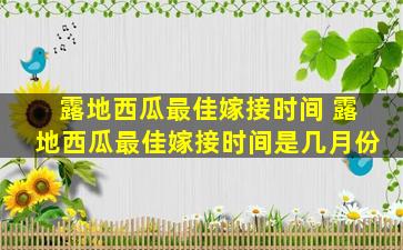 露地西瓜最佳嫁接时间 露地西瓜最佳嫁接时间是几月份